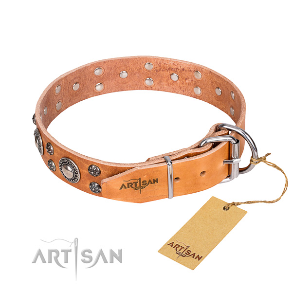 Daily walking adorned dog collar of top notch full grain natural leather