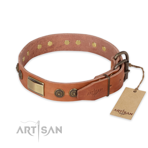 Rust-proof buckle on leather collar for daily walking your canine