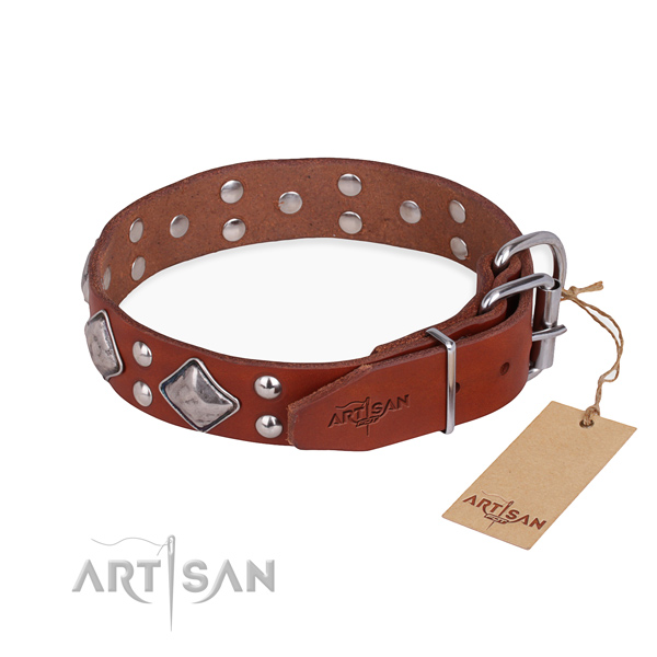 Full grain natural leather dog collar with significant corrosion proof adornments