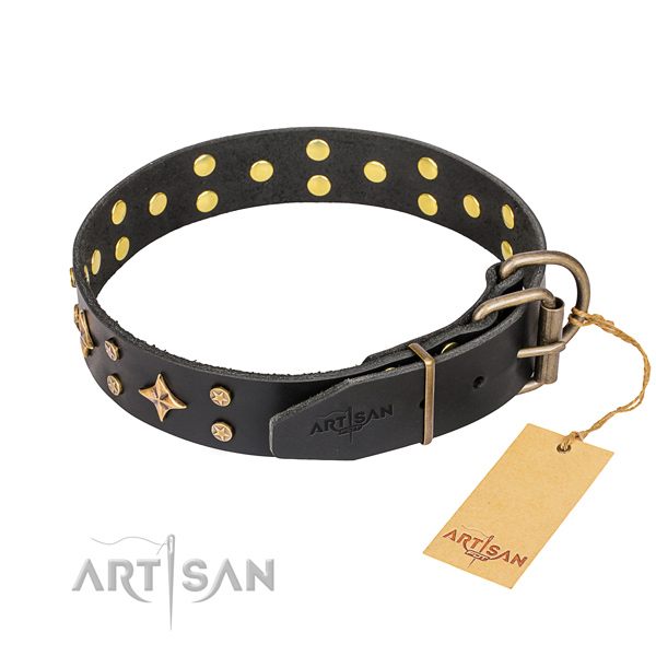Basic training decorated dog collar of fine quality full grain genuine leather