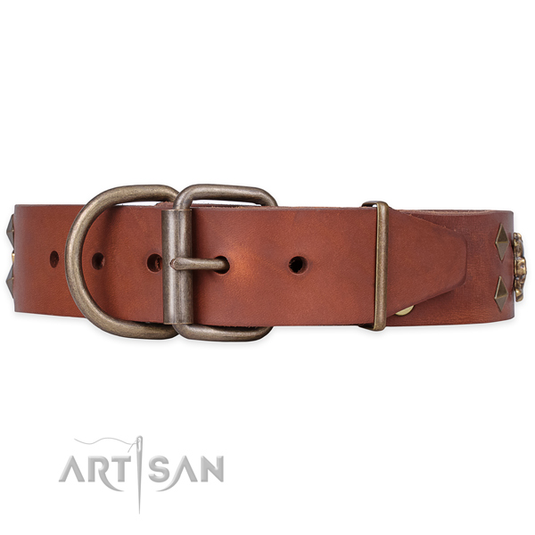 Walking studded dog collar of top notch natural leather