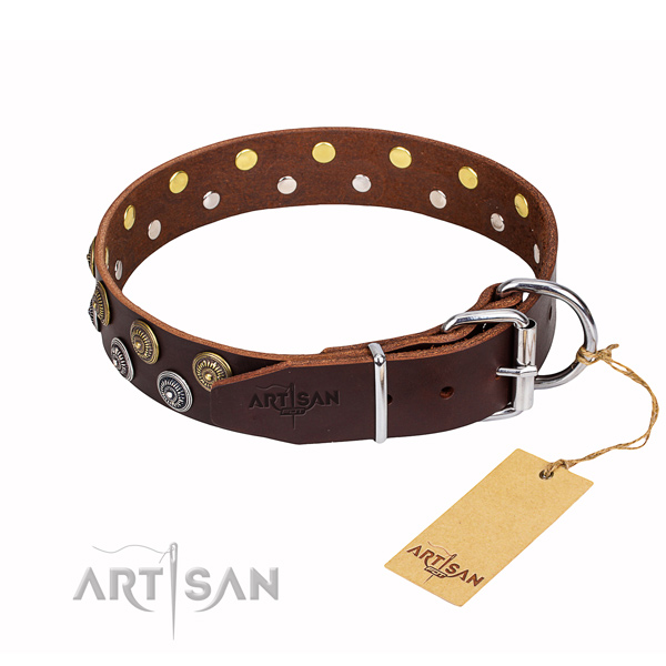 Fancy walking decorated dog collar of best quality full grain leather