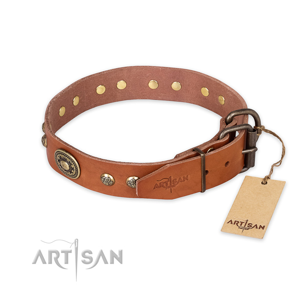 Rust resistant traditional buckle on genuine leather collar for fancy walking your doggie