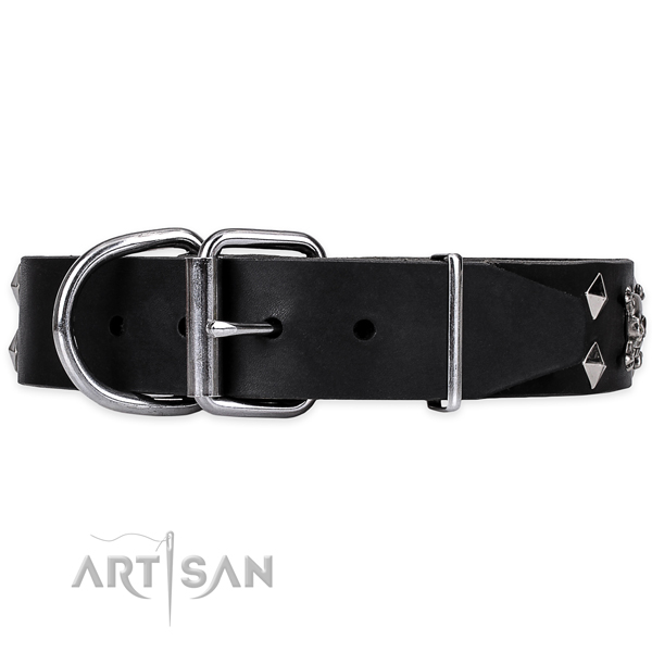 Daily walking studded dog collar of quality leather