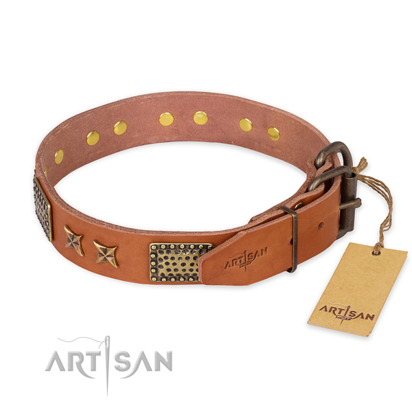 Corrosion proof hardware on full grain genuine leather collar for your handsome dog