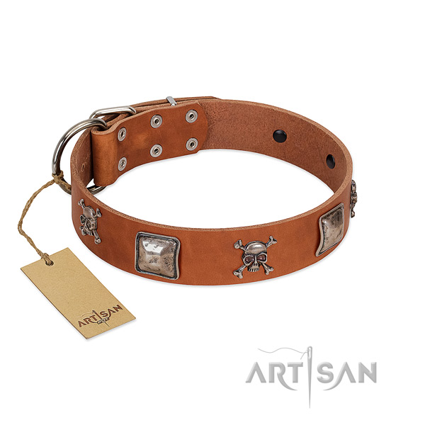 Unusual dog collar handcrafted for your beautiful pet
