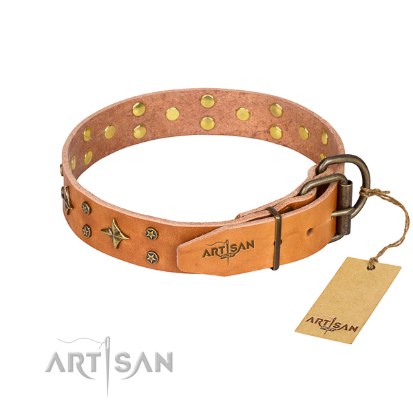 Basic training studded dog collar of strong leather