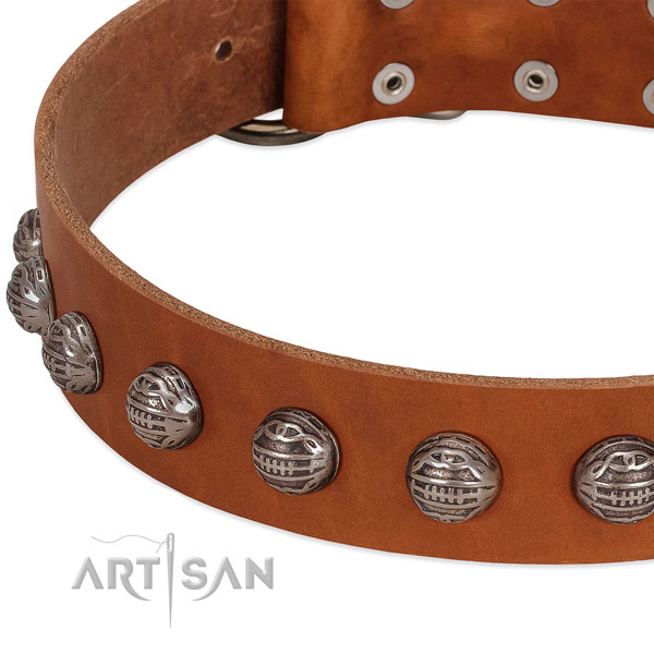 Handy use full grain genuine leather dog collar with exceptional decorations