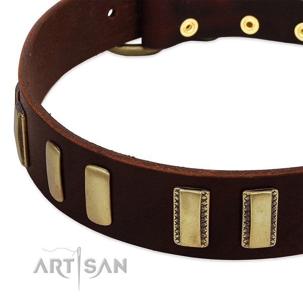 Full grain genuine leather dog collar with rust resistant fittings for easy wearing