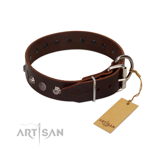 Rust resistant buckle on genuine leather dog collar for walking