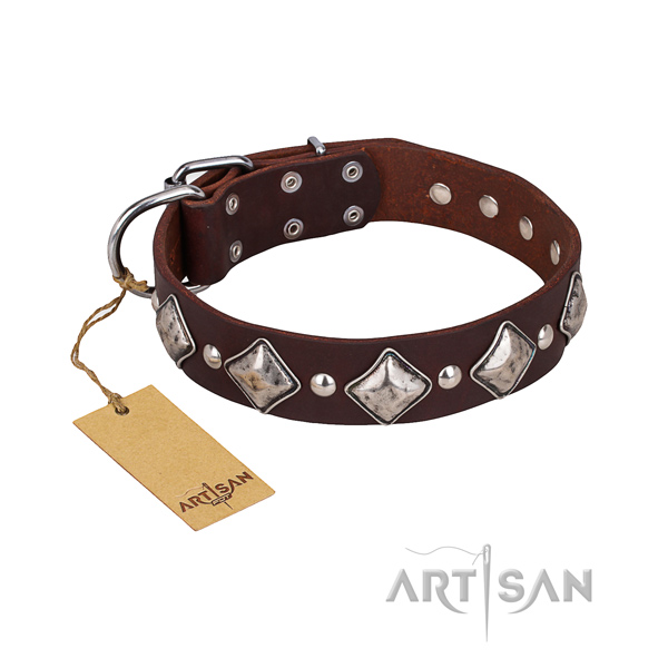 Stylish walking dog collar of top quality full grain natural leather with embellishments