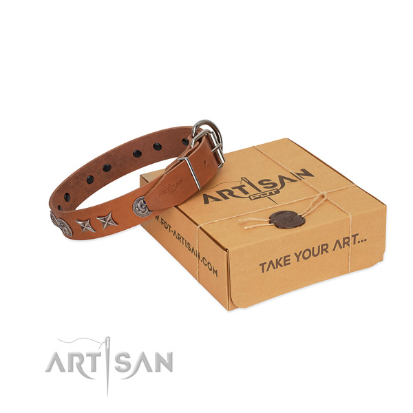 Stylish design dog collar of full grain genuine leather with embellishments