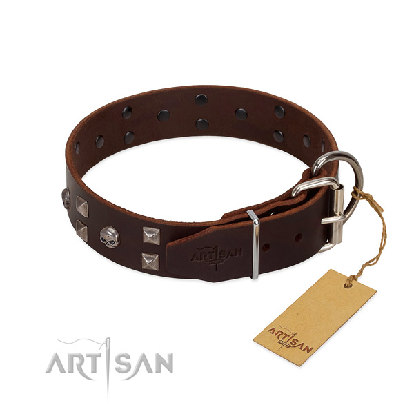 Studded full grain leather dog collar with durable hardware