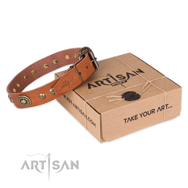 Rust resistant D-ring on leather dog collar for daily walking