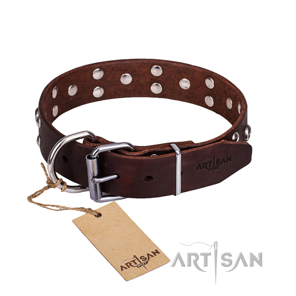Stylish walking dog collar of high quality full grain leather with adornments
