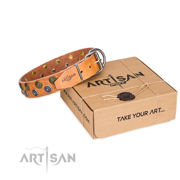 Everyday use dog collar of durable genuine leather with studs