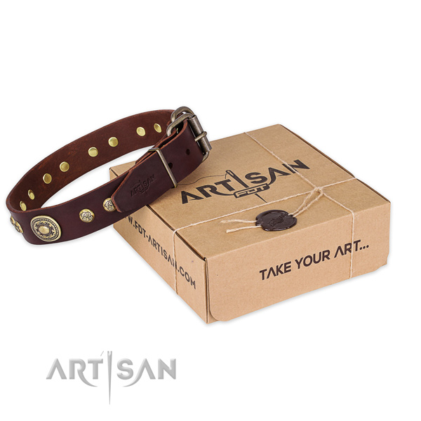 Rust-proof traditional buckle on natural leather dog collar for walking