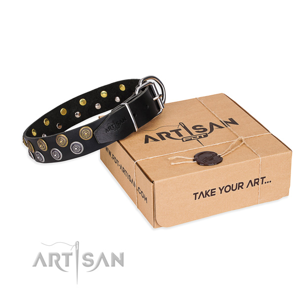 Fancy walking dog collar of reliable full grain genuine leather with embellishments