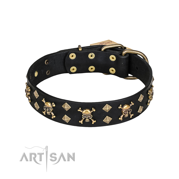 Stylish walking dog collar of reliable genuine leather with adornments