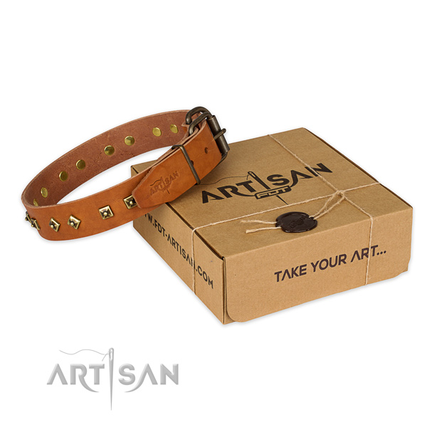 Strong traditional buckle on full grain natural leather dog collar for fancy walking
