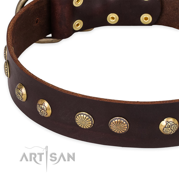 Leather collar with reliable fittings for your impressive four-legged friend
