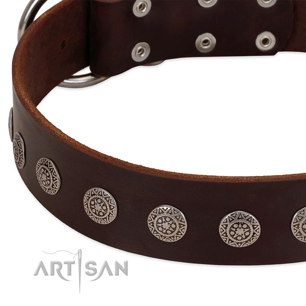 Gentle to touch natural leather collar with embellishments for your four-legged friend