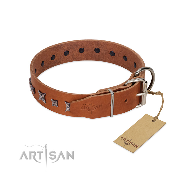 Natural leather dog collar with stylish adornments crafted four-legged friend