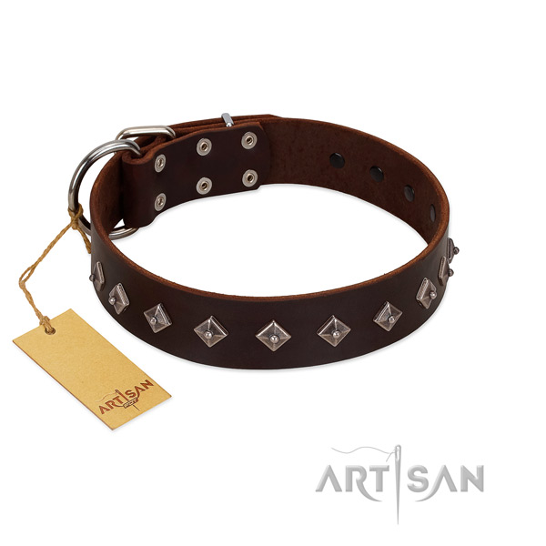 Unusual studs on genuine leather collar for daily use your four-legged friend