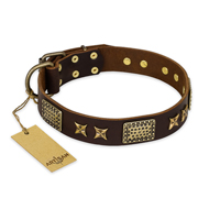 "Sparkling Bronze" FDT Artisan Genuine Leather English Pointer Collar with Bronze Look Stars and Plates "Sparkling Bronze" FDT Artisan Genuine Leather English Pointer Collar with Bronze Look Stars and Plates