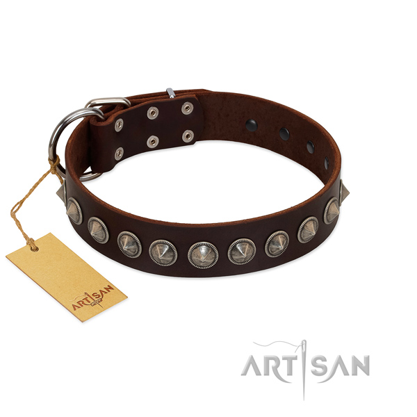 Top notch studded genuine leather dog collar for walking