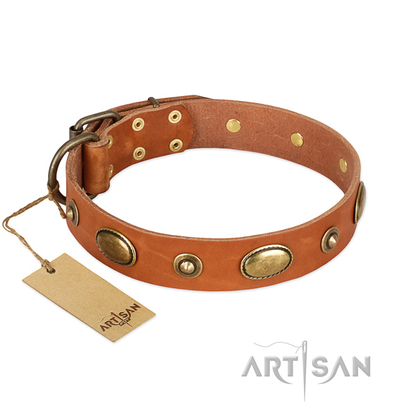Exquisite natural leather collar for your canine