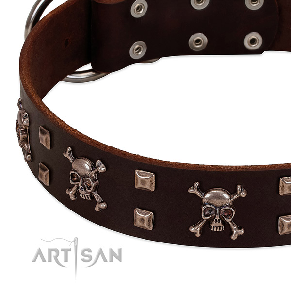 Stunning genuine leather collar for your pet