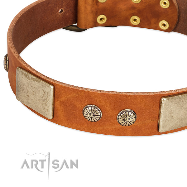 Rust resistant buckle on full grain leather dog collar for your pet