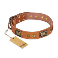"Cosmic Traveller" FDT Artisan Adorned Leather English Pointer Collar with Old Bronze-Plated Stars and Plates "Cosmic Traveller" FDT Artisan Adorned Leather English Pointer Collar with Old Bronze-Plated Stars and Plates
