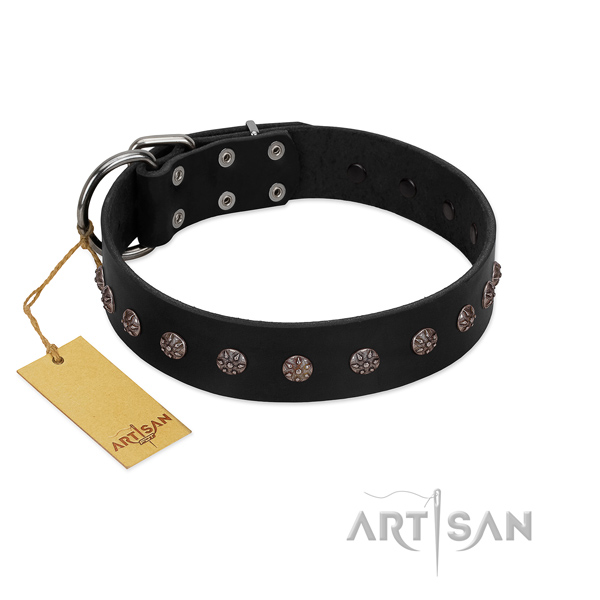 Fancy walking natural leather dog collar with fashionable embellishments