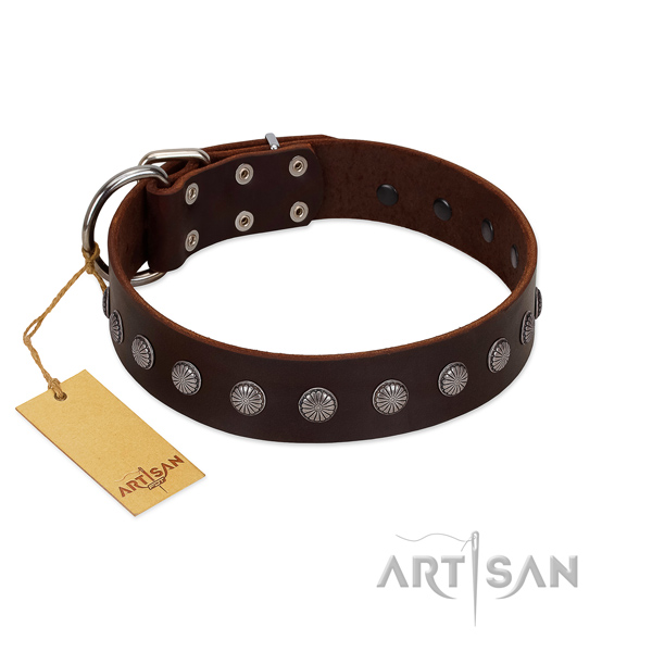 Exceptional studs on genuine leather collar for stylish walking your pet