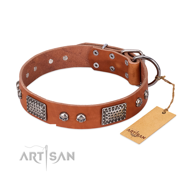 Easy adjustable natural genuine leather dog collar for stylish walking your doggie