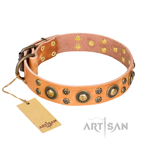 Basic training dog collar of high quality full grain genuine leather with embellishments