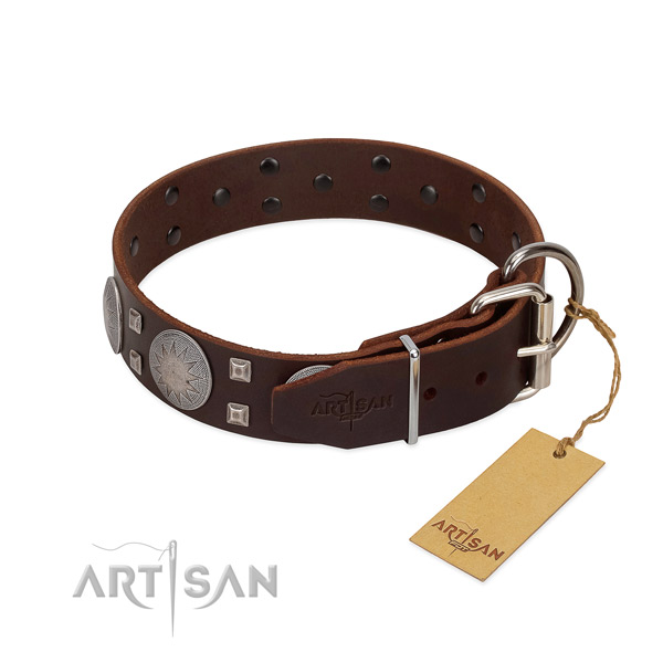 Impressive full grain genuine leather dog collar for everyday walking your four-legged friend