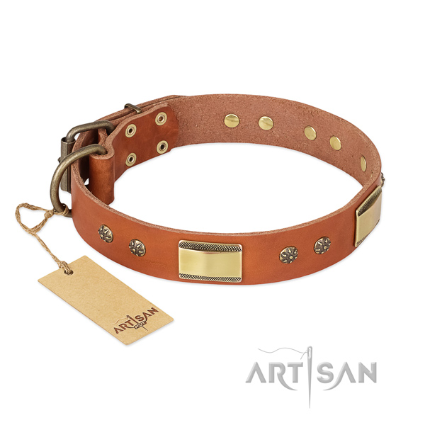 Extraordinary leather collar for your canine