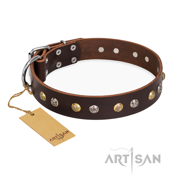 Fancy walking handcrafted dog collar with rust resistant hardware