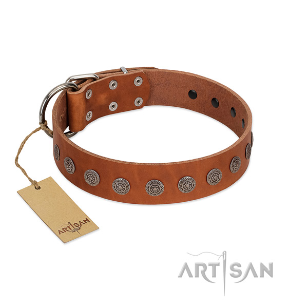 Extraordinary adornments on natural leather collar for comfortable wearing your pet