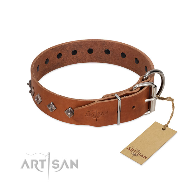 Full grain leather dog collar with impressive embellishments for your pet