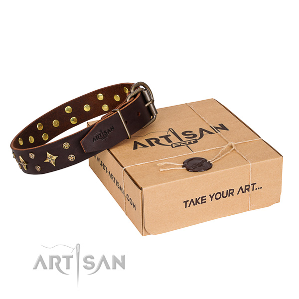 Daily use dog collar of fine quality genuine leather with adornments