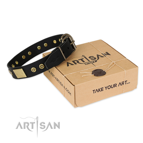 Rust resistant traditional buckle on genuine leather dog collar for everyday walking