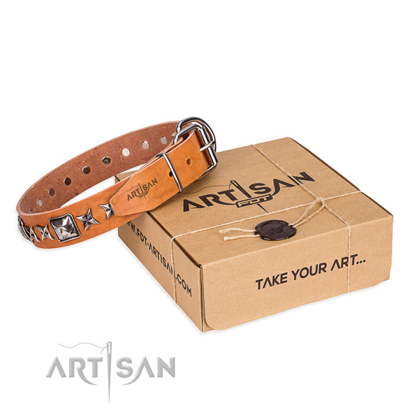 Handy use dog collar of finest quality natural leather with embellishments
