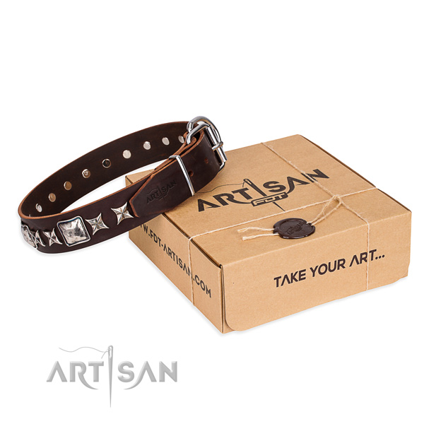 Stylish walking dog collar of best quality full grain leather with adornments