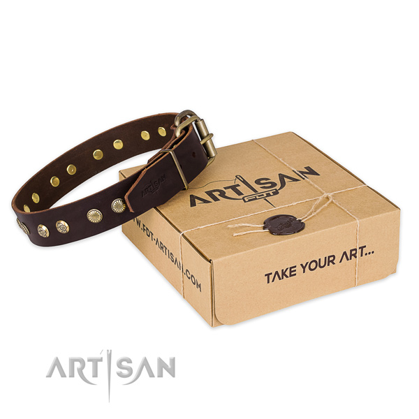 Strong fittings on full grain leather collar for your handsome doggie