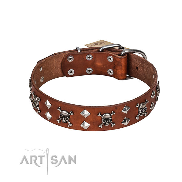 Everyday walking dog collar of durable full grain genuine leather with adornments