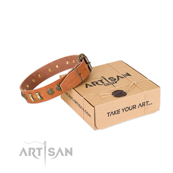 Durable embellishments on natural leather dog collar for your four-legged friend